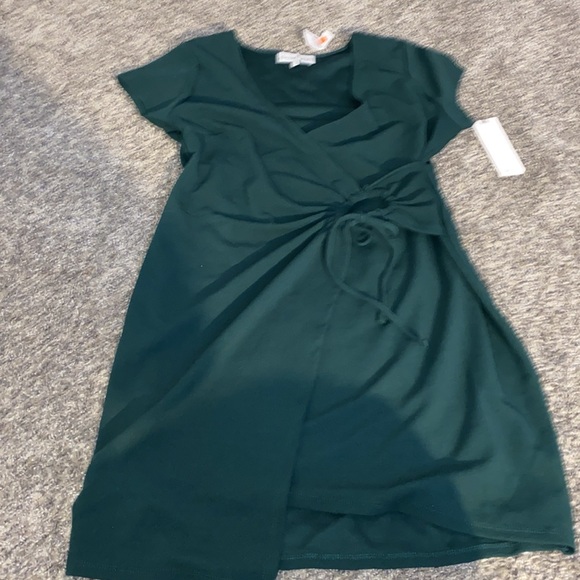 Hunter Green Short sleeve Dress Size 2X - Picture 4 of 8
